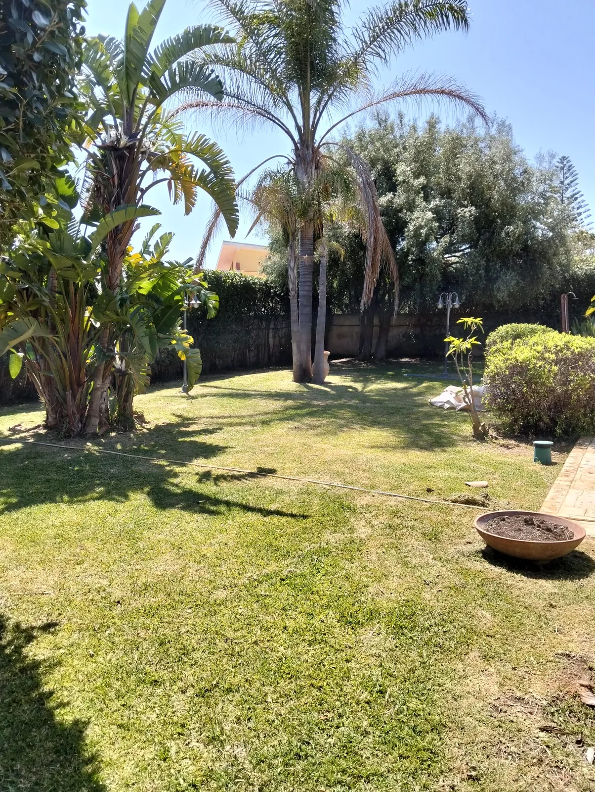 Manutenzione giardino tropicale a Siracusa – L.B. Service Multiservizi