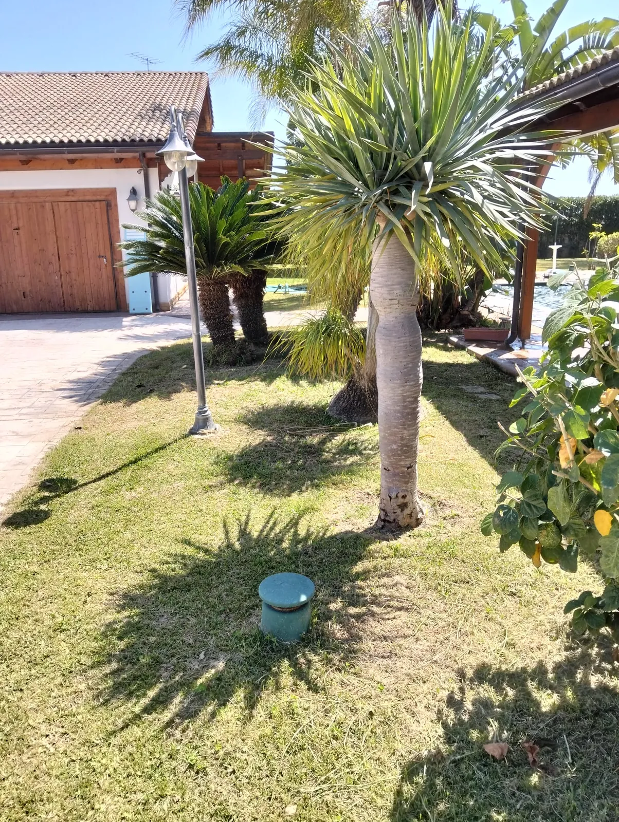 Manutenzione prato e giardino a Terrauzza Siracusa – L.B. Service Multiservizi