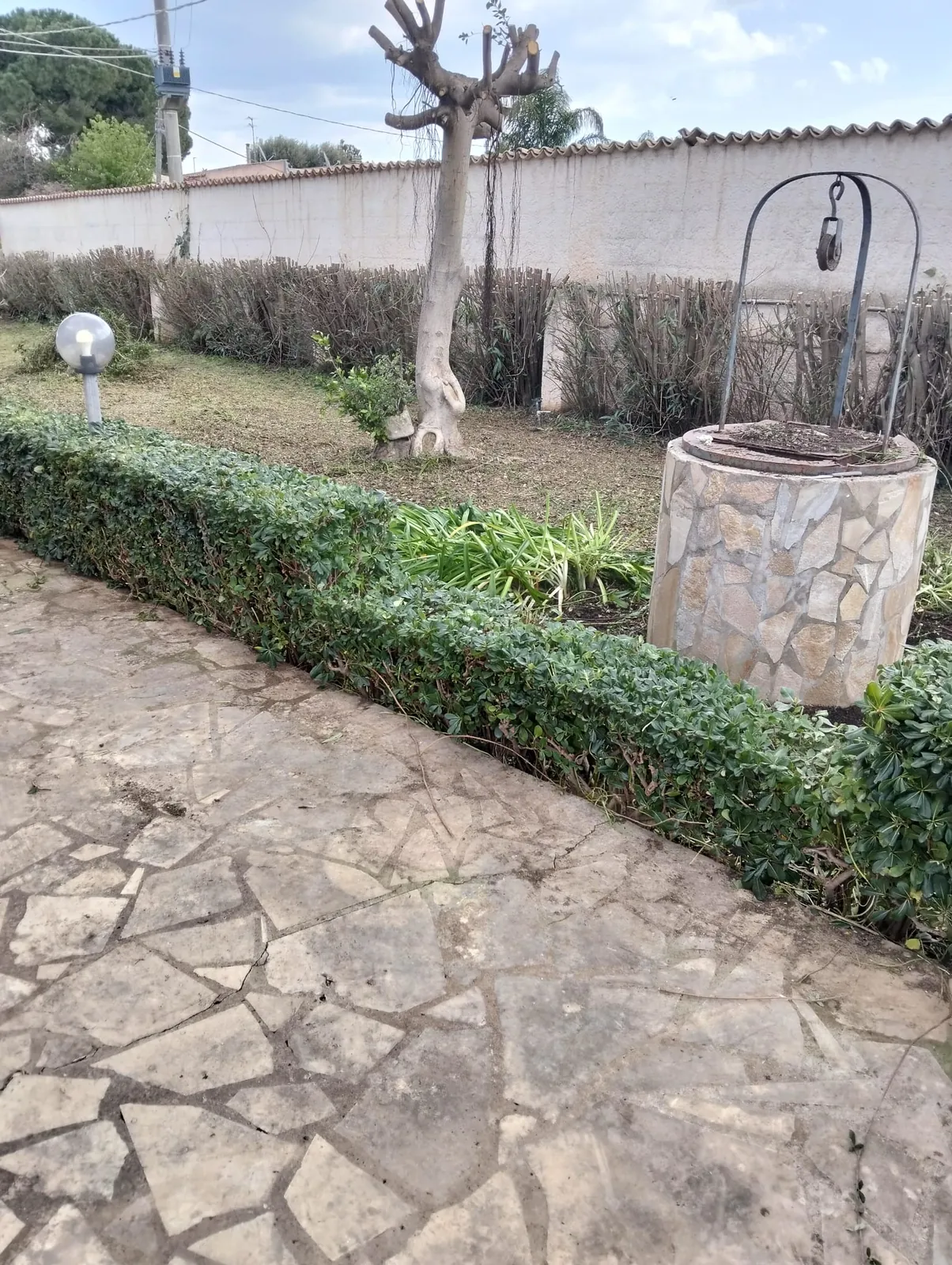 Pulizia area verde e potatura alberi a Siracusa – L.B. Service Multiservizi